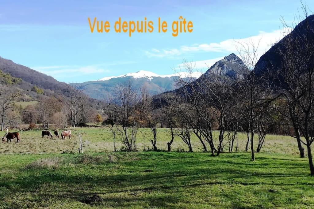 Villa Grange En Pierres. Grand Jardin Et Belle Vue Saurat Exterior foto